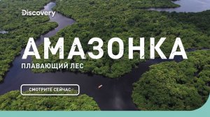 Амазонка: плавающий лес | Неизведанные острова | Discovery