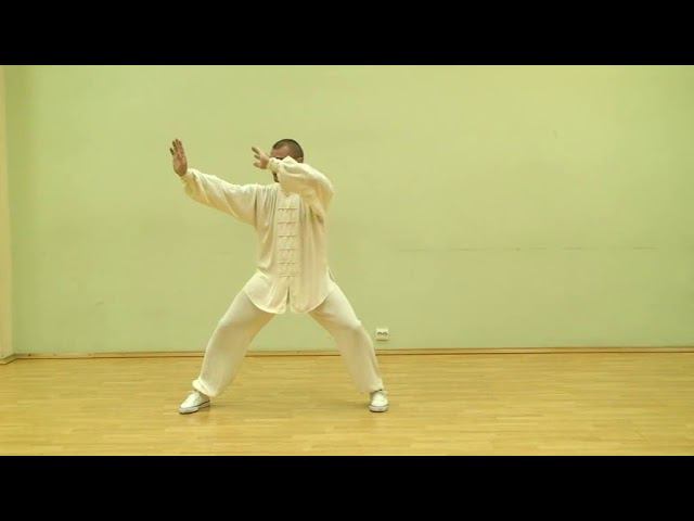 Taiji Chen Romanov R   ч 3- Комментарии к движениям первого комплекса
