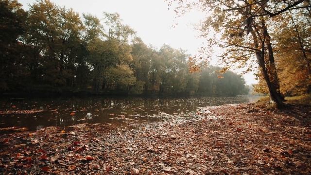 ОСЕНЬ - ПРЕКРАСНОЕ ВРЕМЯ ГОДА. ОСЕННЕЕ НАСТРОЕНИЕ, ОСЕНЬ 2021