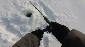 Ловля судака на раттлины зимой. Рыбалка на реке Кама, село Масловка.