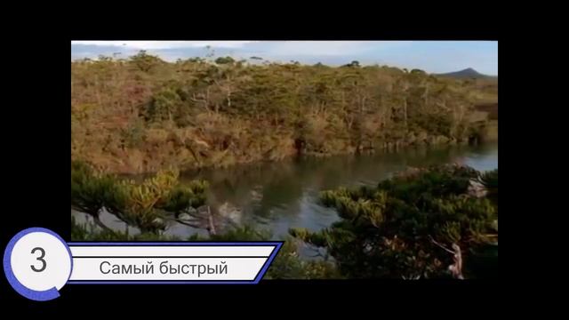 ТОП 5  Самых невероятных динозавров
