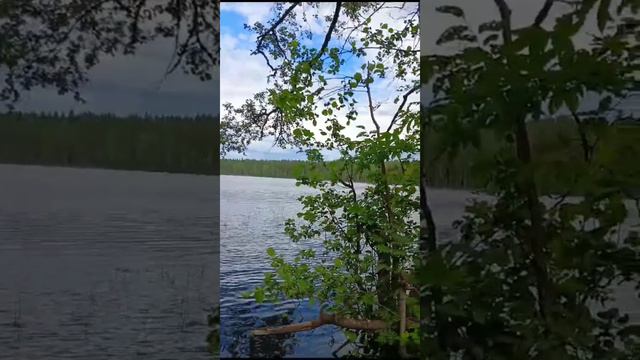 Лесное озеро в Карелии ❤️🇷🇺