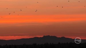 Panasonic HC-VX1 - 4K Sample Footage