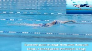 Кроль на спине техника плавания,для начинающих и любителей