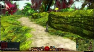 Guild Wars 2 - Gathering 101 [Gathering Guide + Tips]