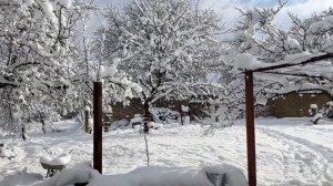 Снежная сказка в Скалско Болгария. Релаксация от погоды. Жизнь в болгарском селе. 7 февраля 2023