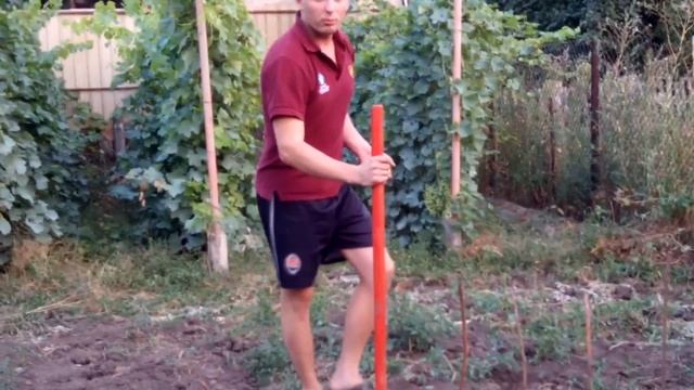 Эксперимент!!! Вырастит ли инжир, посадка инжира далеко не в субтропиках. смотреть онлайн