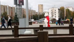 Неожиданное предложение-сюрприз © Агентство "Рука и Сердце"