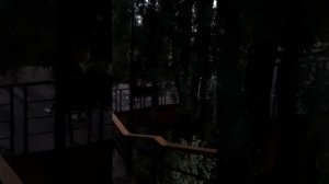 Мелеуз 15.07.2022