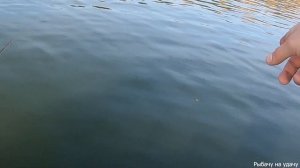 Рыбалка осенью на ОБИ с лодки. Вечерка. Ловля щуки.