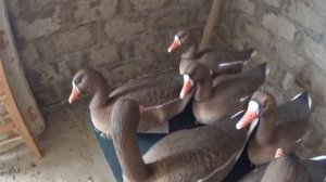 Чучела гусей.Ништячки для охоты