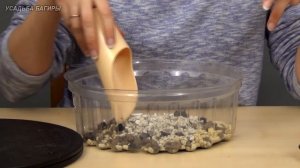 Бонсай из фикуса  Бенджамина (ч.4).