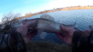 Ловля судака на степной речке Краснодарского края 2 Декабря.