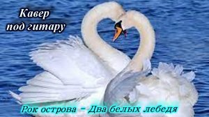 Два белых лебедя - Владимир Захаров и Рок острова