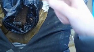 Зимний фидер или подлёдный лов...Хотя не чего не поймал;))