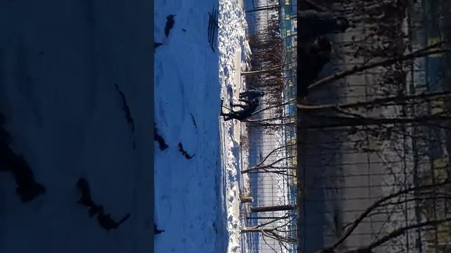 Как наши мальчики убирают снег смотреть онлайн