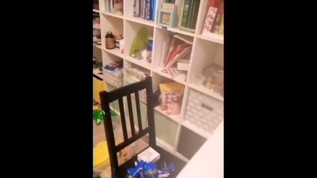 Чернобыльская АЭС