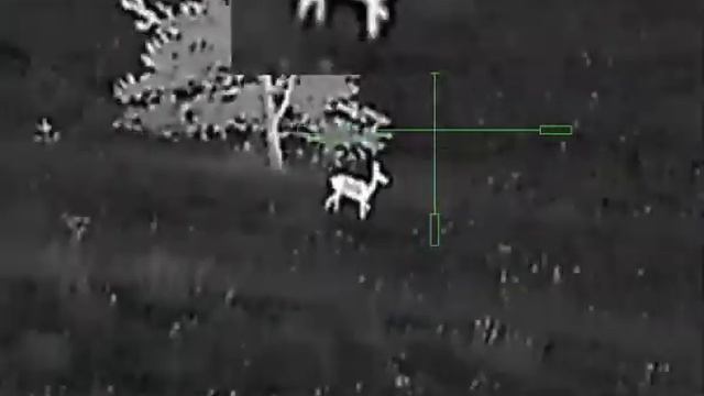 Yukon nordforce косуля 2 смотреть онлайн