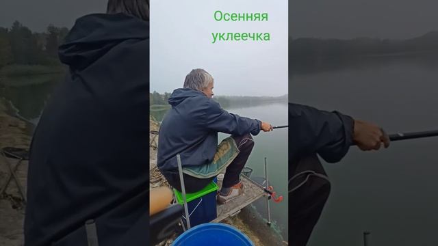 Осенняя уклеечка #рыбалка # уклейка полное видео несколько позже