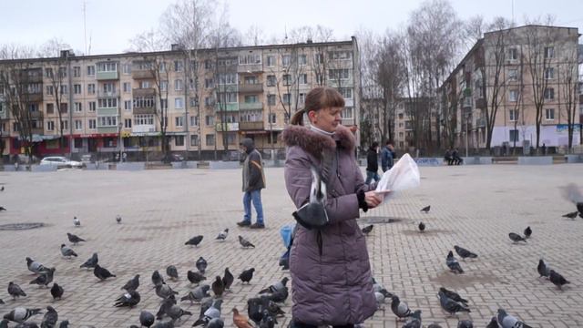 Дрессировка голубей! смотреть онлайн