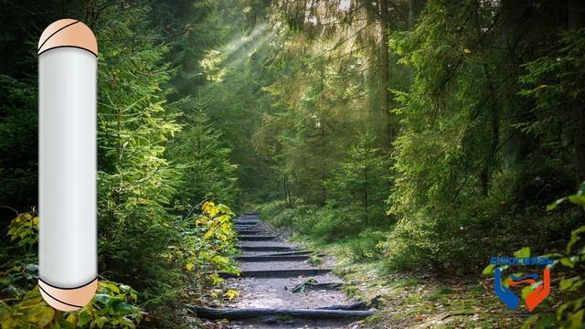 COVID -19 Восстановление. Занятие № 6 (7 дых./мин.) смотреть онлайн