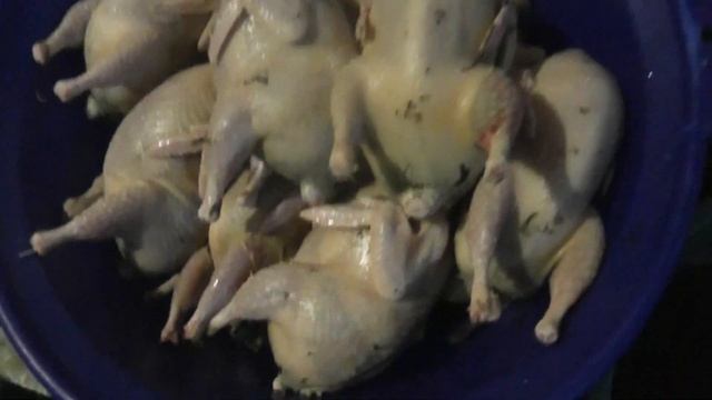 Ощипывание перепелов( ручное) и потрошение