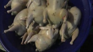 Ощипывание перепелов( ручное) и потрошение