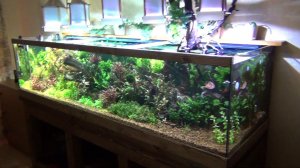 Аквариум травник 600 литров. Пол, подиум,тумба, отделка деревом.