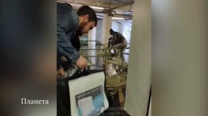 Уфу залили августовские
 дожди.  Уфа 12 августа 2024 год