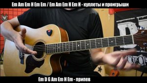 Сектор Газа - Трипак | разбор от Сапрыкина