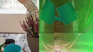 Зачем нужна марганцовка комнатным растениям. Польза марганцовки для здоровья растений.