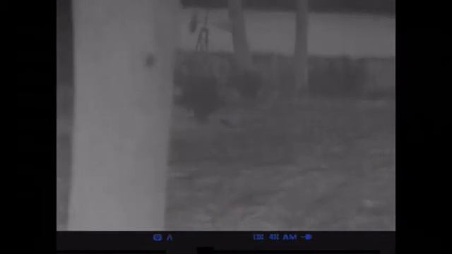 Pulsar Digital Night Vision Quantum HD38S Thermal Monocular Tracking смотреть онлайн