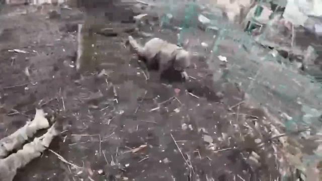 5 февраля 2024 г. смотреть онлайн