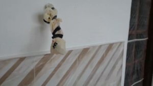 Подготовка под венецианку. Латексная краска с минимальной шагренью.