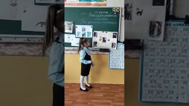 Мои домашние питомцы. Проект АльбинкиКартинки по окружающему миру. Мы в ответе за тех кого приручил смотреть онлайн