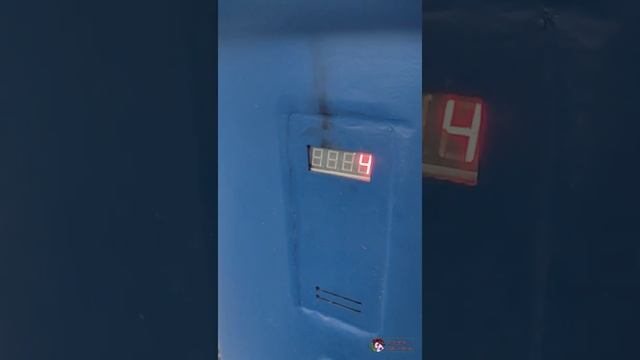 Прогулка с пользой. Проверяем работу автоматизированной колонки. смотреть онлайн