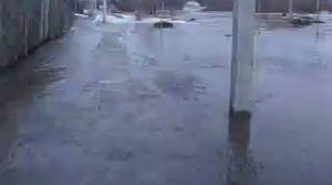 половодье(Пензенская область село ПОИМ)