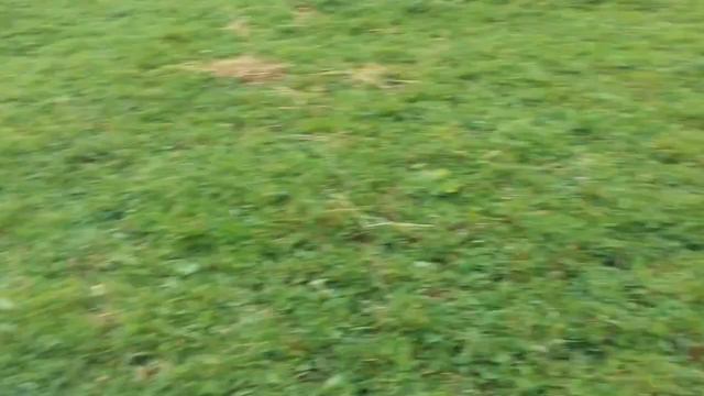 Попытка оседлать лошадь)) смотреть онлайн