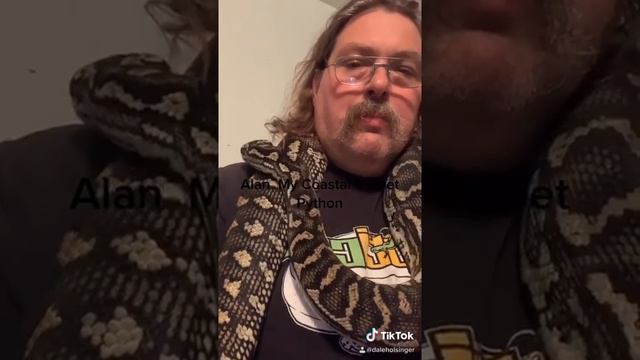 Alan my wonderful carpet python