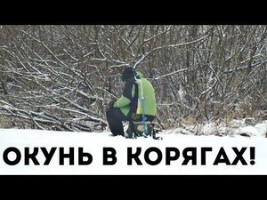 Как научиться выбивать окуня зимой из коряг? Как ловить окуня на раттлины и вибы зимой?