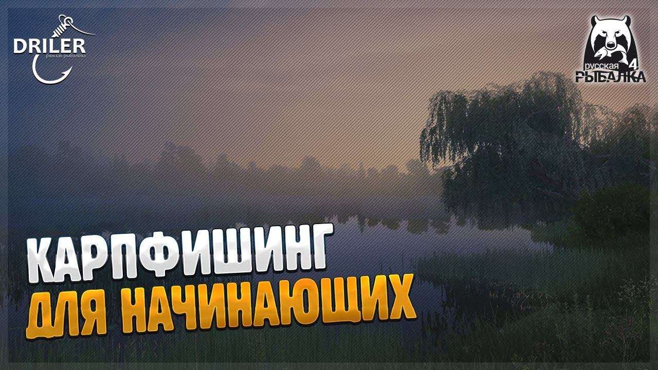 Медведвежка для начинающих. Сборка фидера. Стрим Русская рыбалка 4/Russian Fishing 4