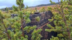 ОХОТА НА ГУСЯ ХМАО