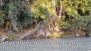 Сочи. Ни разу не нарядная Хоста. Бродилка по не очень приятным местам курорта.