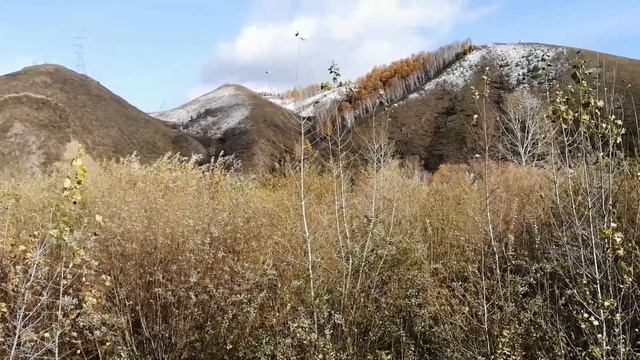 Сопки Бобрового Лога | Прогуливаемся и худеем | Атмосфера деревенской жизни Базаихи смотреть онлайн