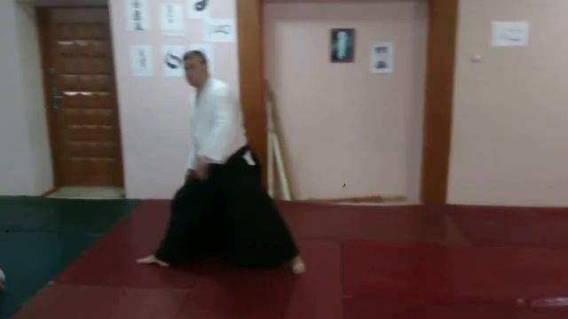 Айкидо защитное движение рук и шомен учи