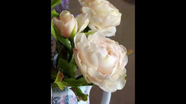 Роза Jude the Obscure холодный фарфор смотреть онлайн