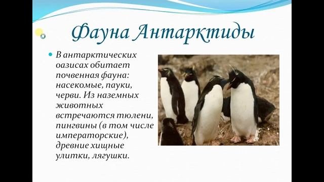 Природа Антарктиды. География 5 класс.