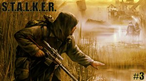 Прохождение S.T.A.L.K.E.R - Черный Сталкер Работаем на Янове Стрим 3 Хардкор