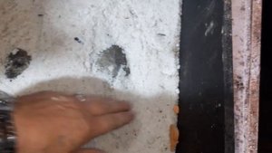 Сухой посол карпа.