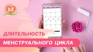 ? С чем связан короткий или длинный менструальный цикл?